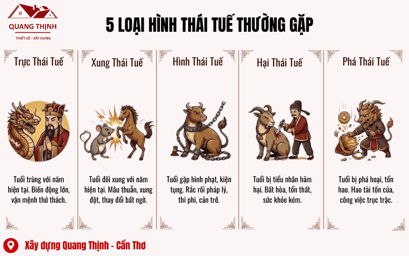 5 loại hình thái tuế thường gặp