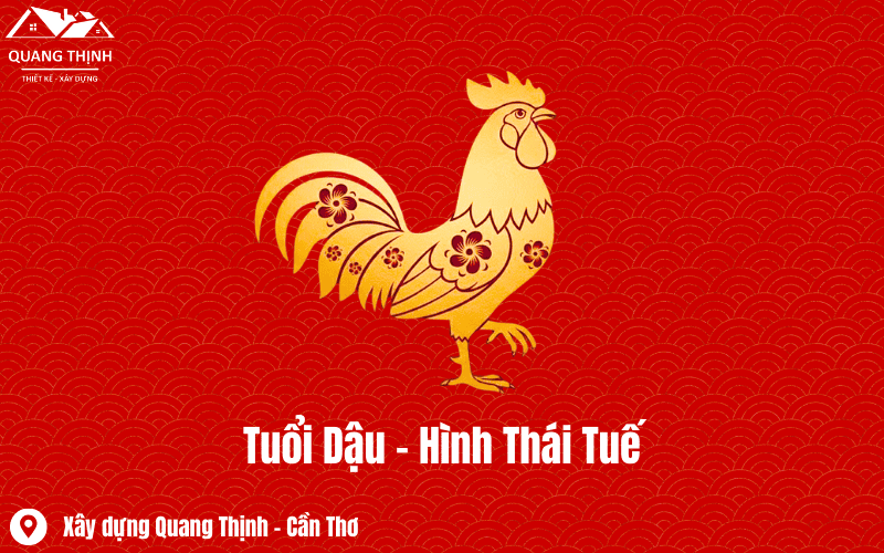 tuoi dau hinh thai tue