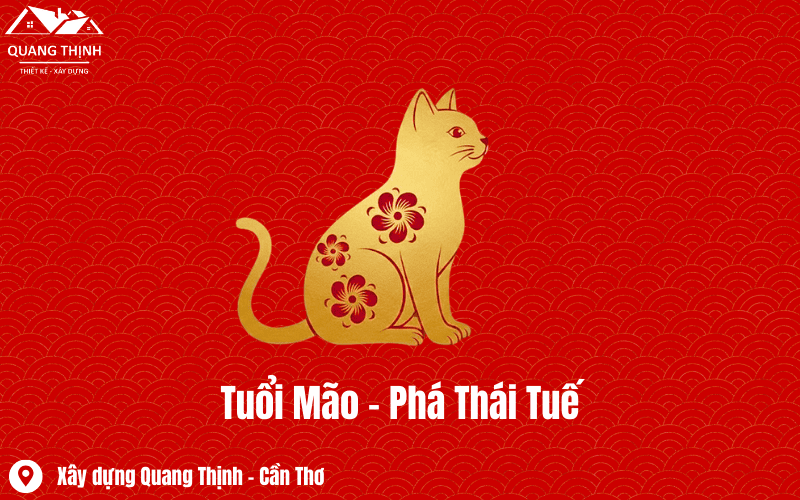 tuoi mao pha thai tue