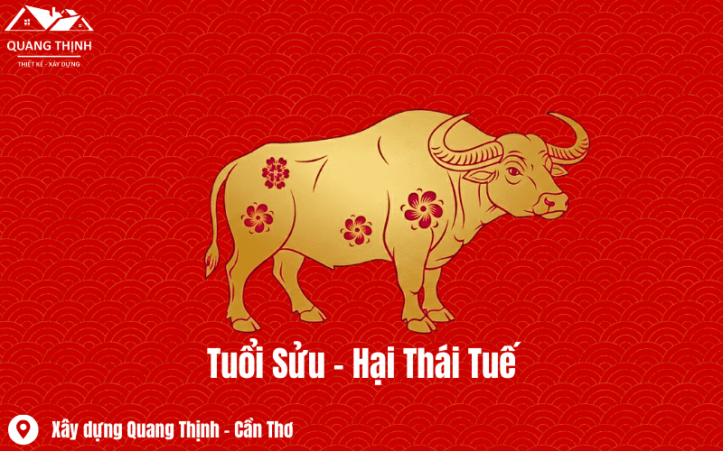 tuoi suu hai thai tue
